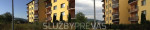 Čistenie pozemkov, kosenie trávy, pílenie stromov, výrub stromov – fotka 4